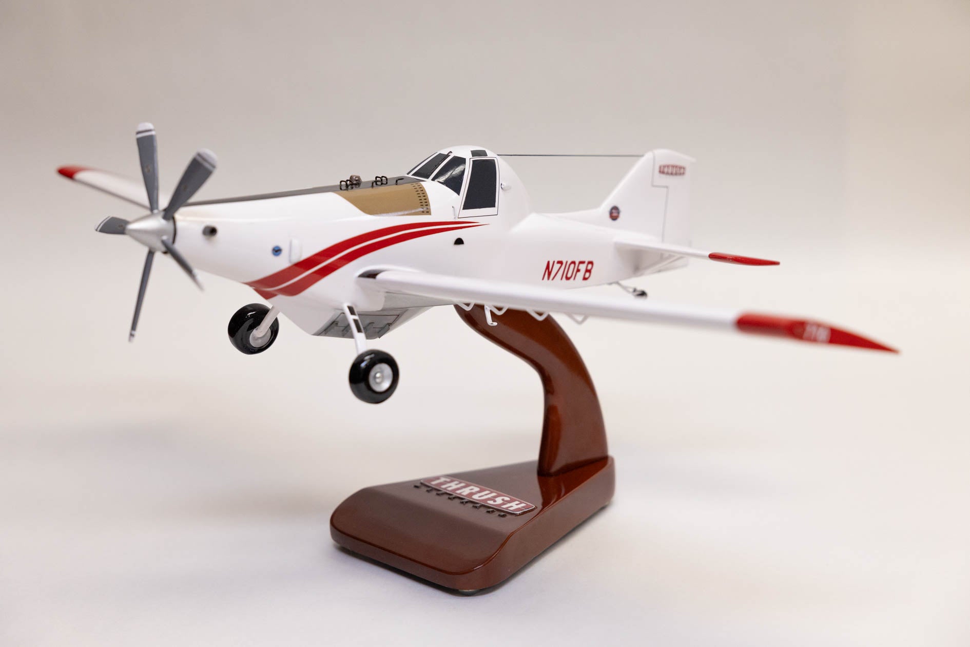 710P Fire Bird Model Aircraft