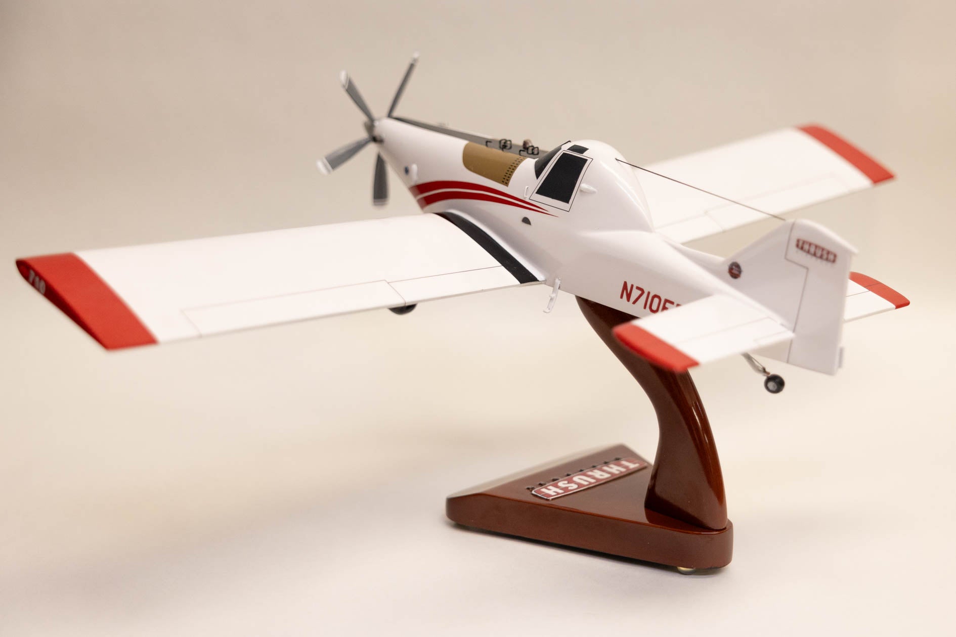 710P Fire Bird Model Aircraft