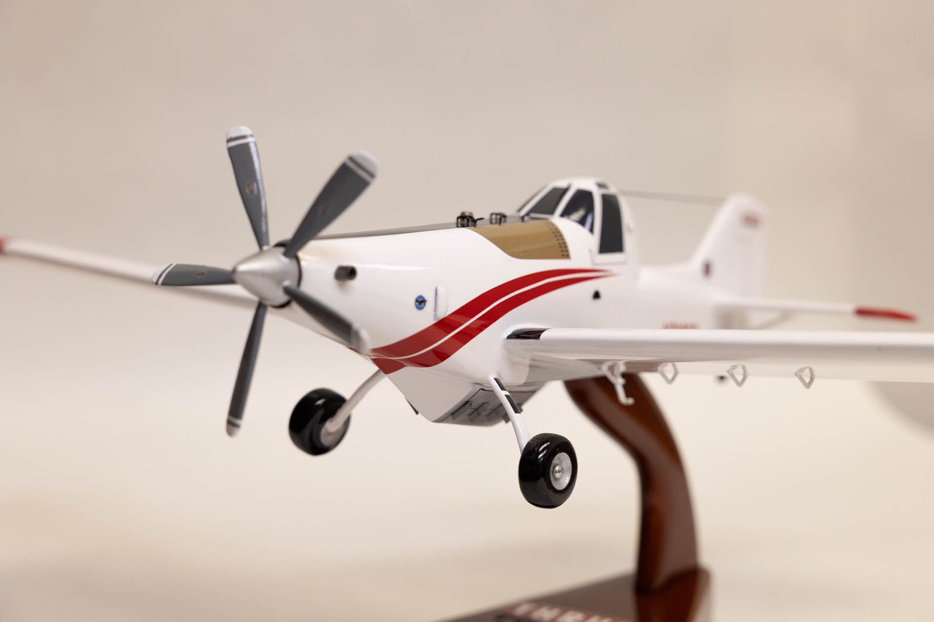 710P Fire Bird Model Aircraft